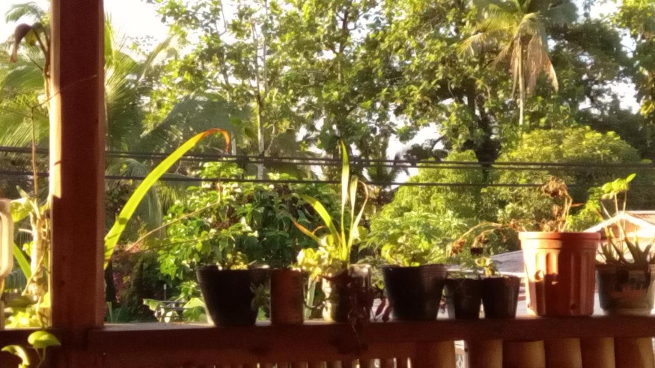 Ferienwohnung Casa Lumiere Bocas del Toro Exterior foto