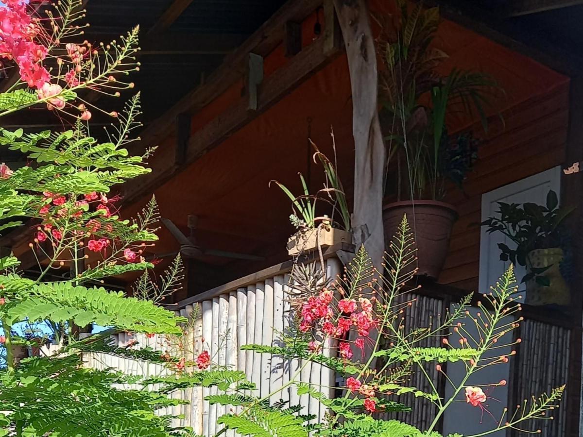 Ferienwohnung Casa Lumiere Bocas del Toro Exterior foto